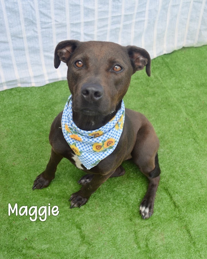 Maggie