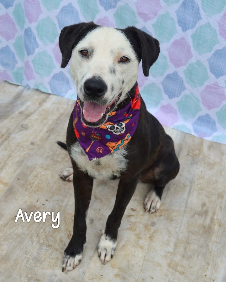 Avery