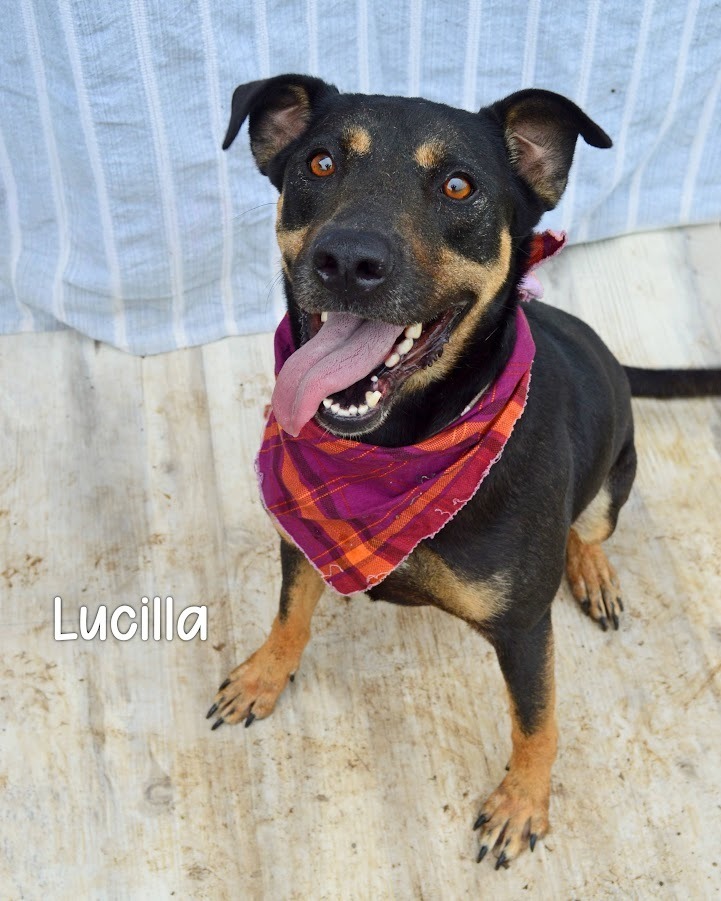 Lucilla