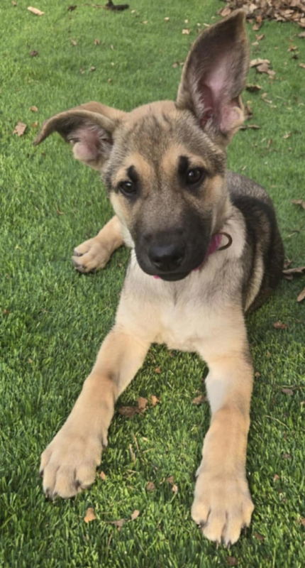 Lucy