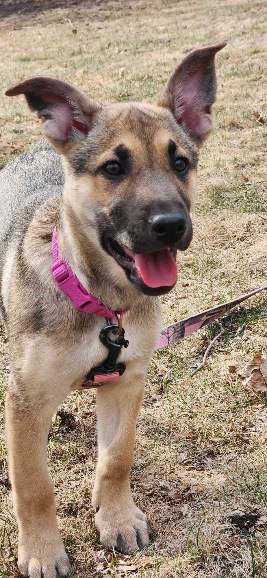 Lucy