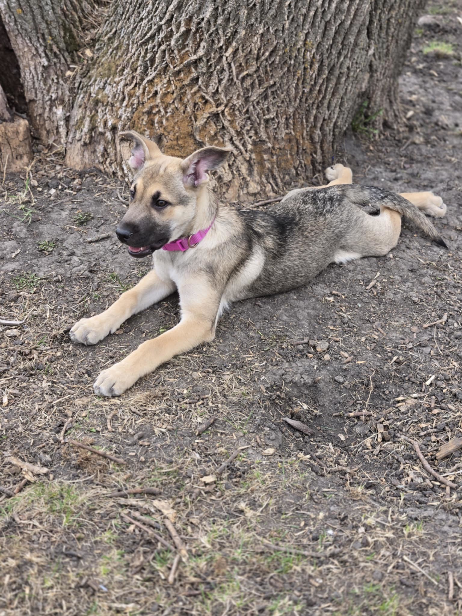 Lucy