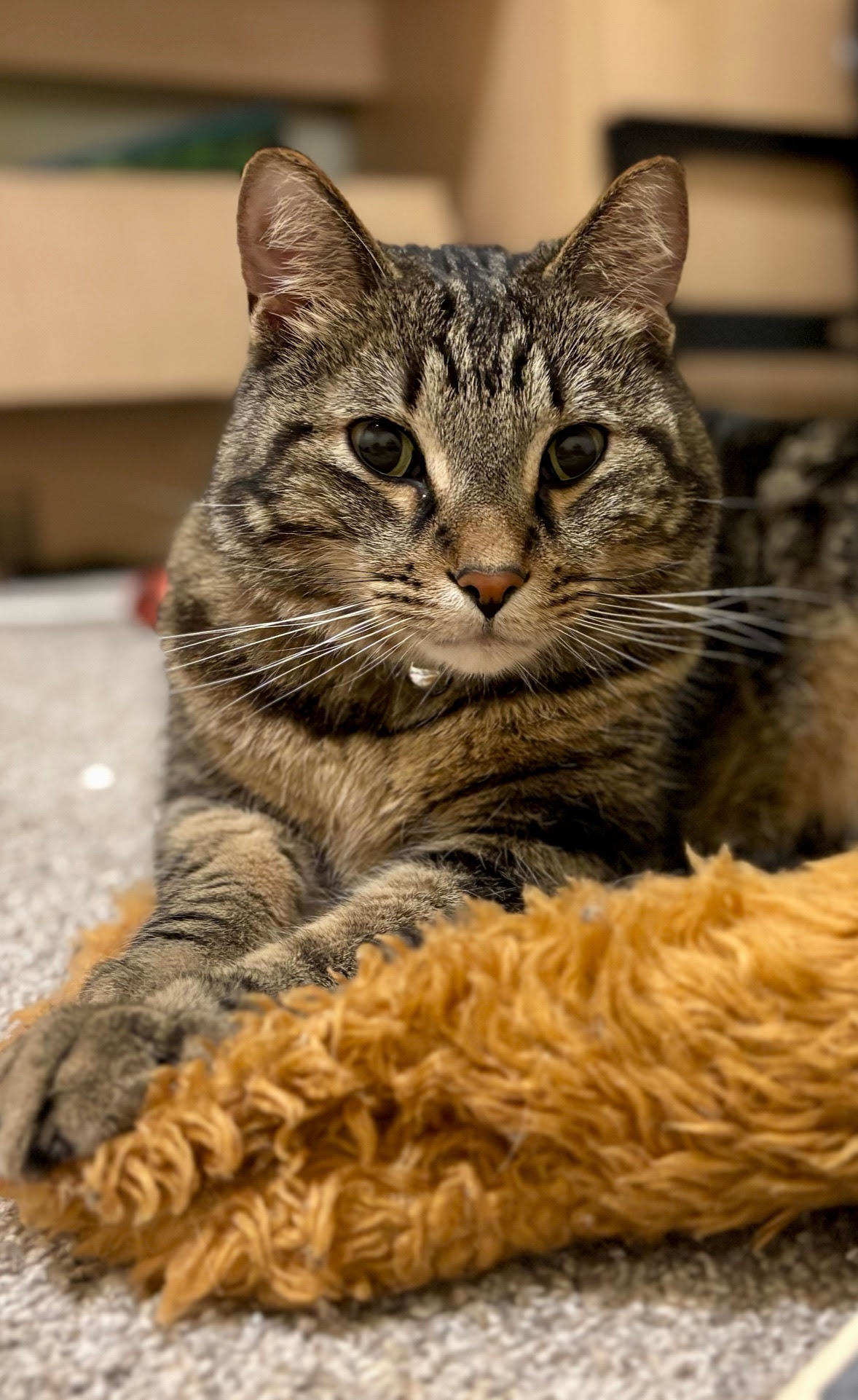 Max