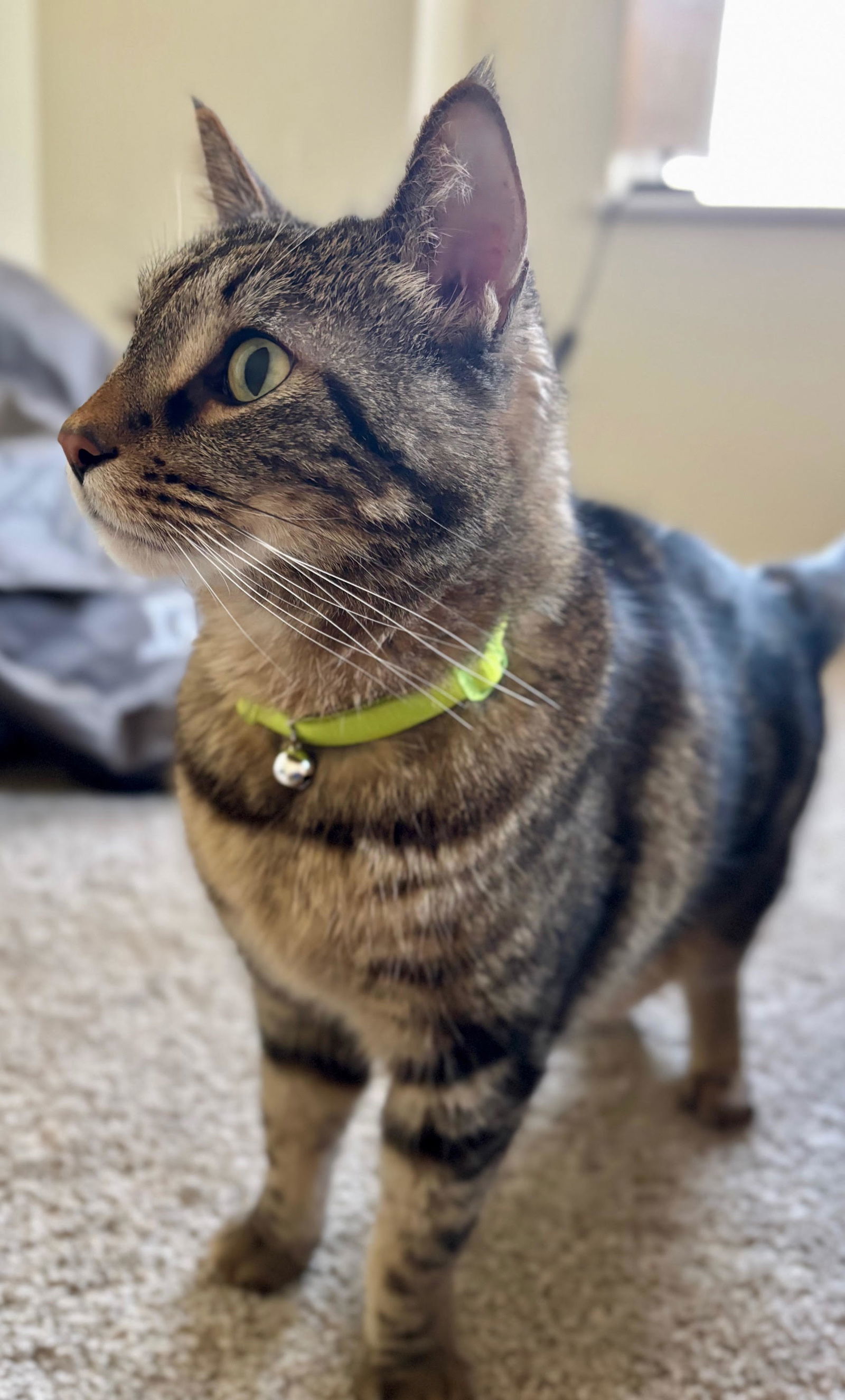 Max