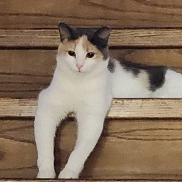 Bobbi (bonded To Sally)