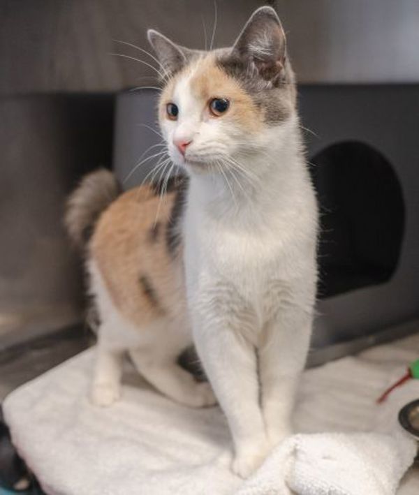 Bobbi (bonded To Sally)