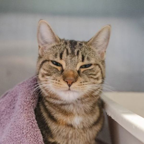 Sally (bonded To Bobbi)
