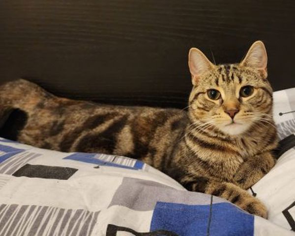 Sally (bonded To Bobbi)