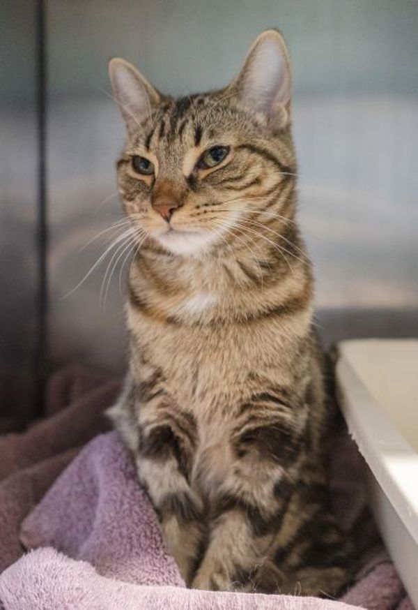 Sally (bonded To Bobbi)