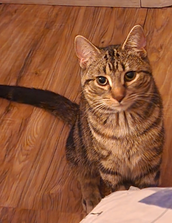 Sally (bonded To Bobbi)