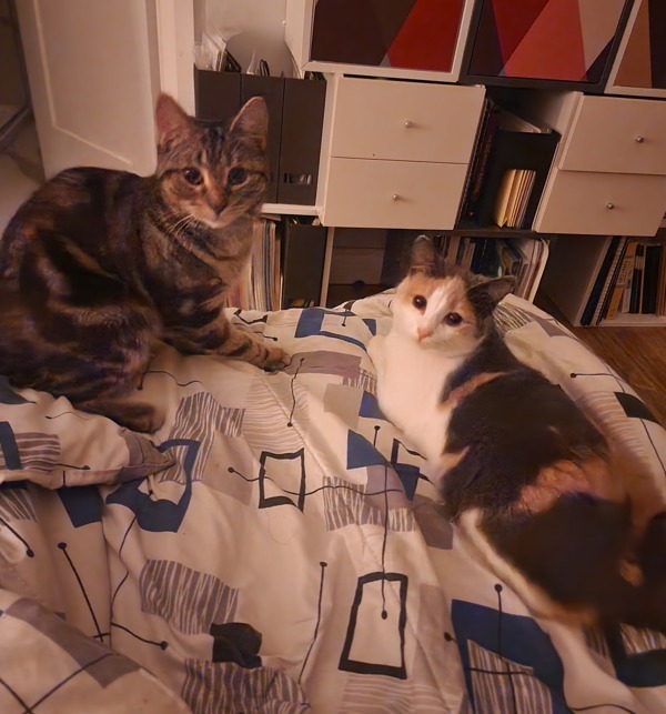 Sally (bonded To Bobbi)