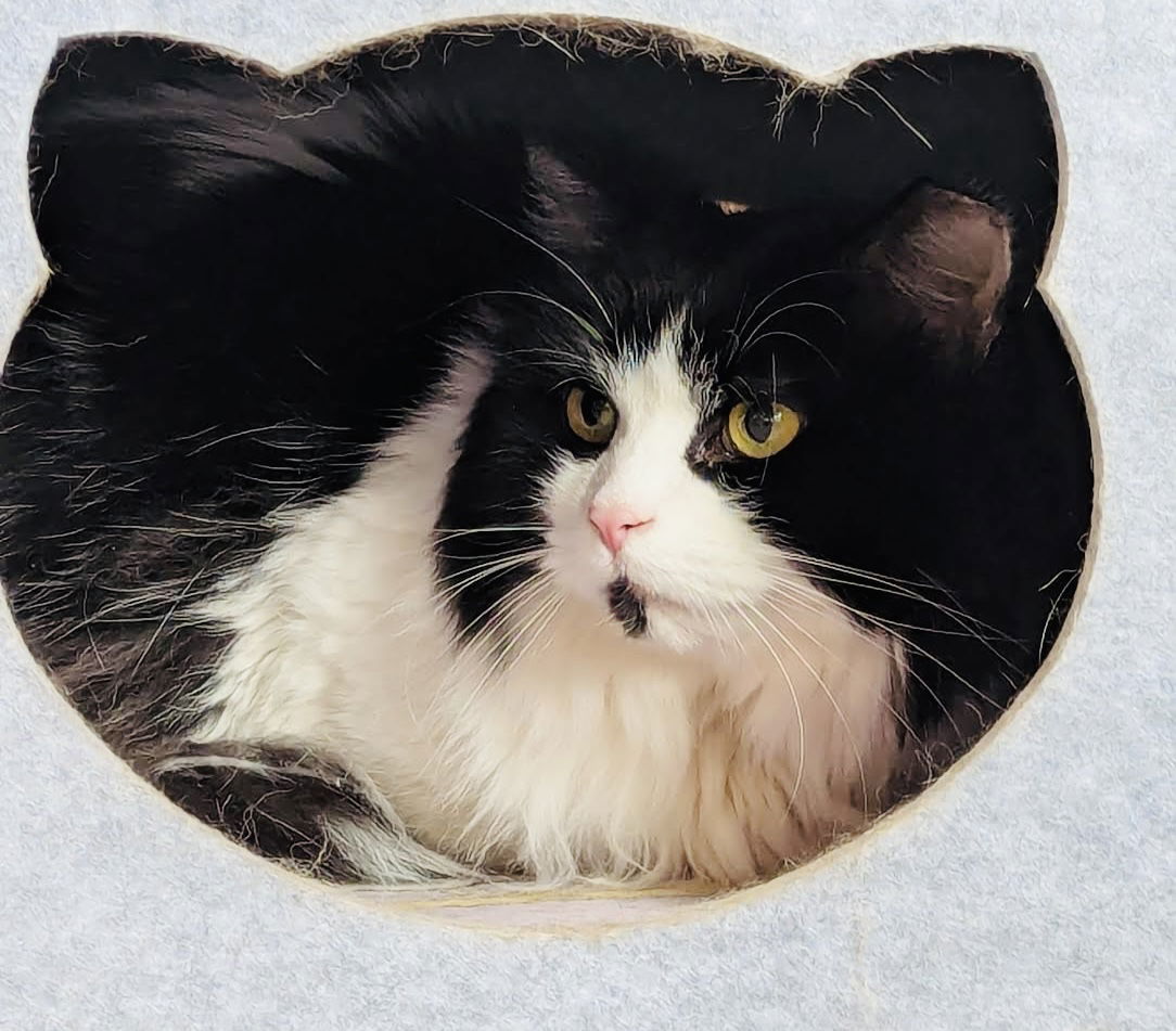 Ella