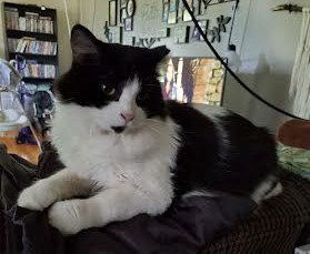 Ella