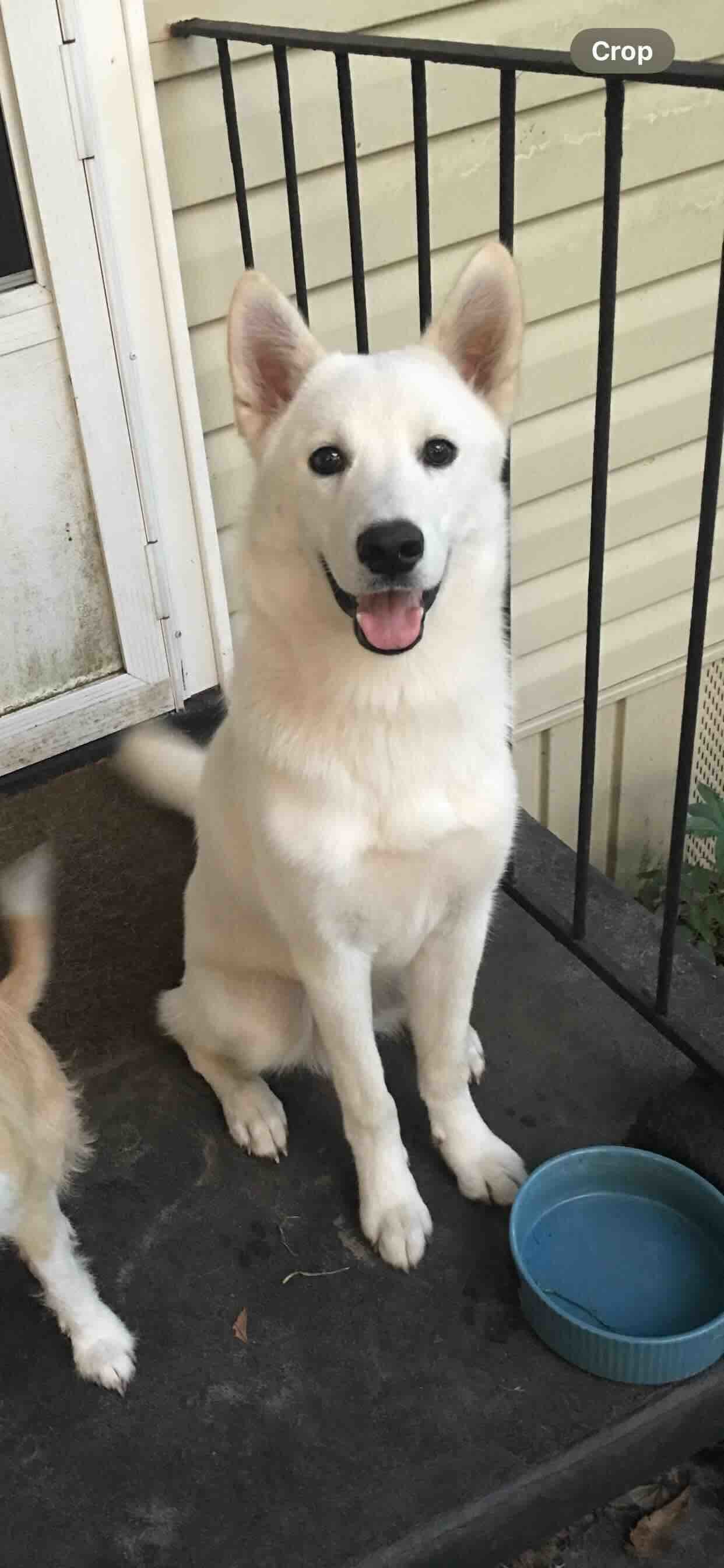 Olaf