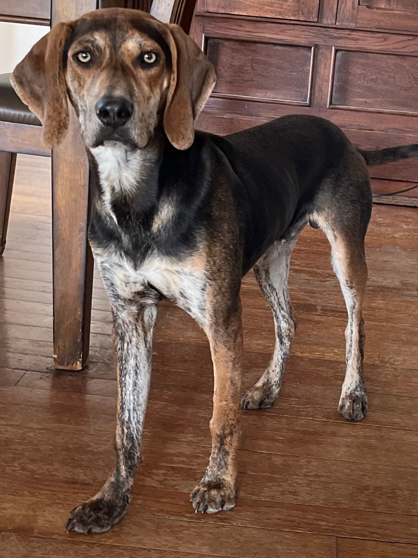 Boscoe