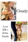 Cloudy photo 1