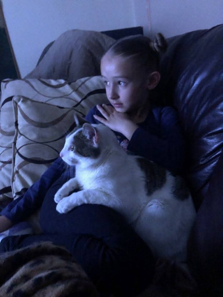 Meeko