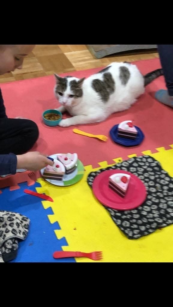 Meeko