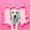 Neal photo 6