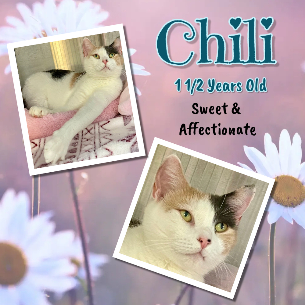 CHILI