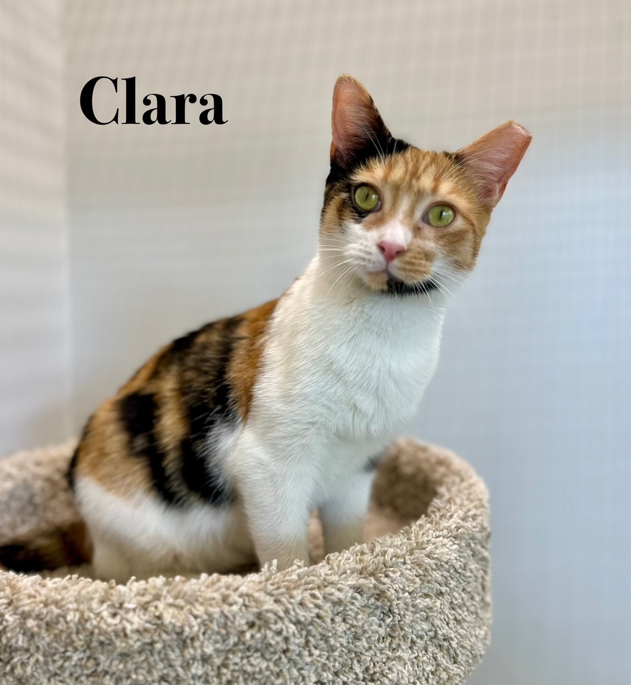 Clara