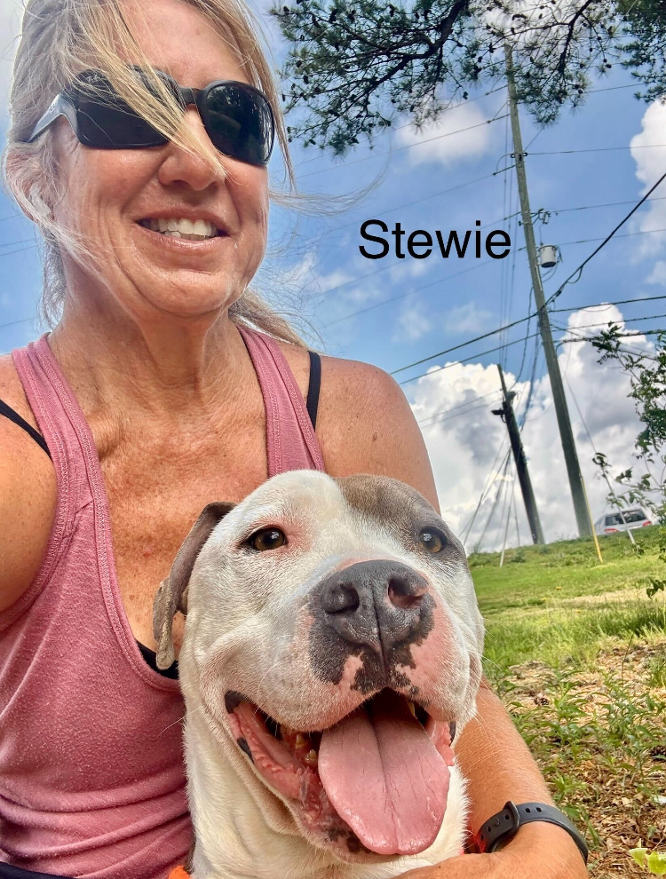 Stewie