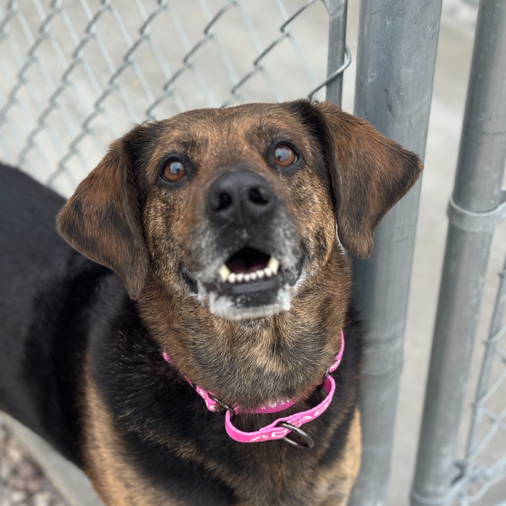 Kona