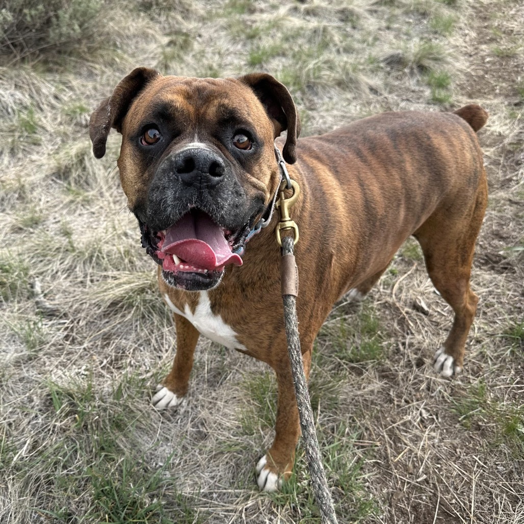 Odin