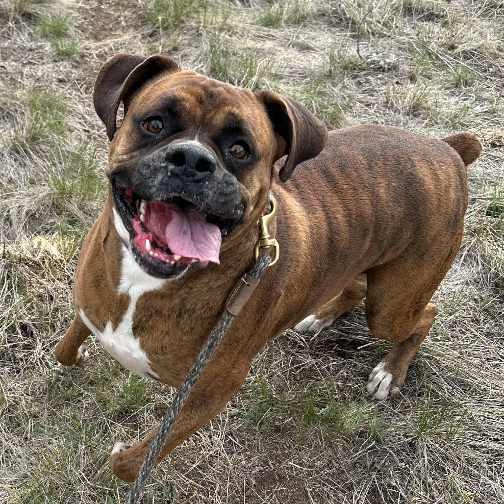 Odin
