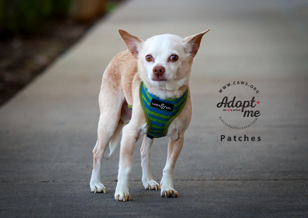 Patches