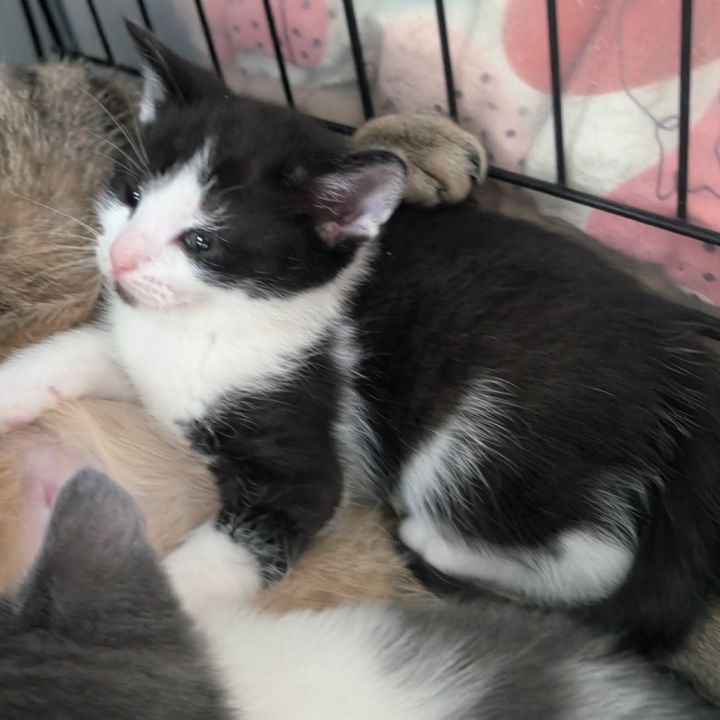 Ares (paired with Hera) 2