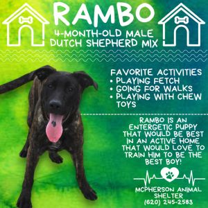 Rambo