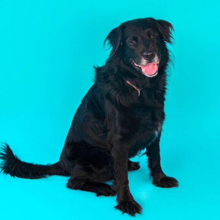 Max 1