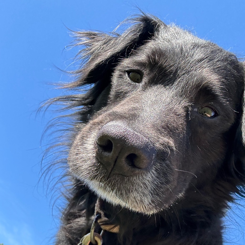 Max