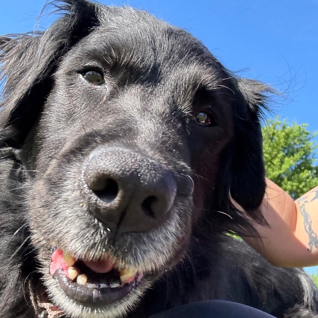Max