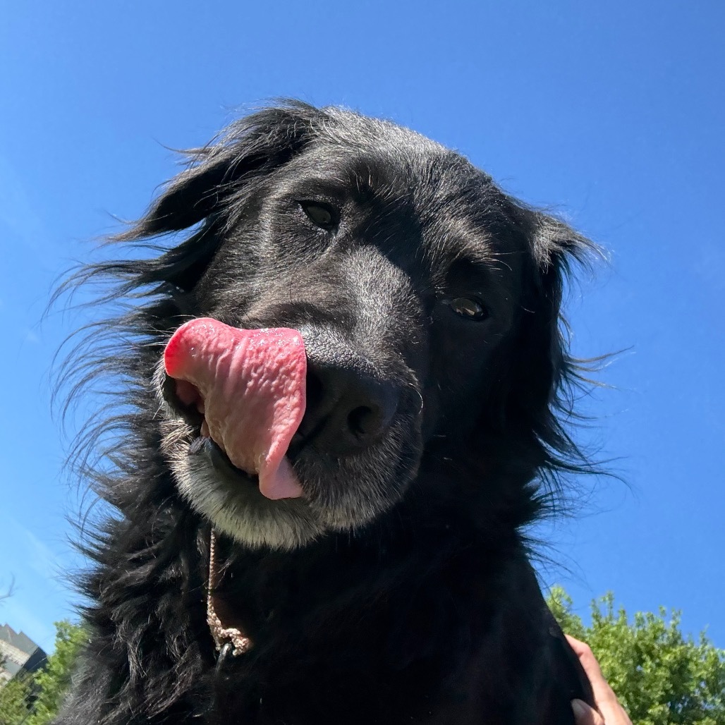 Max