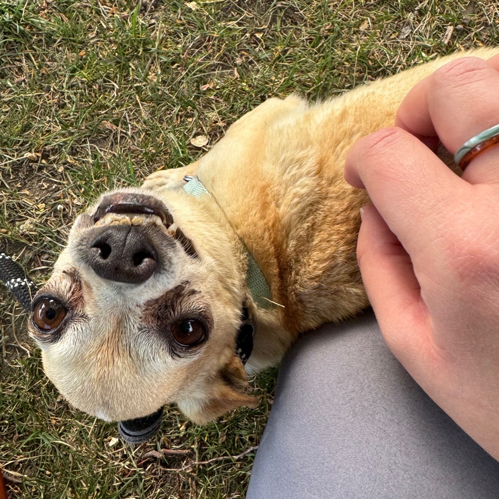 Sid