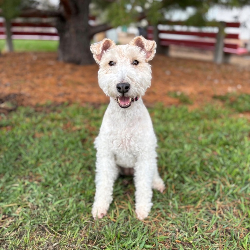 Winnie--In Foster