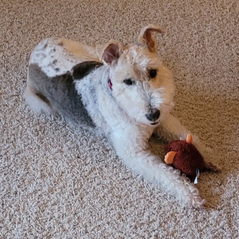 Winnie--In Foster