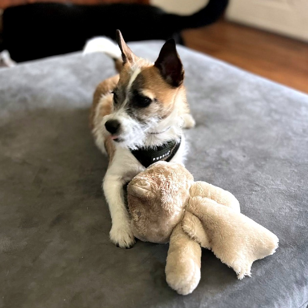 Buster Rhymes