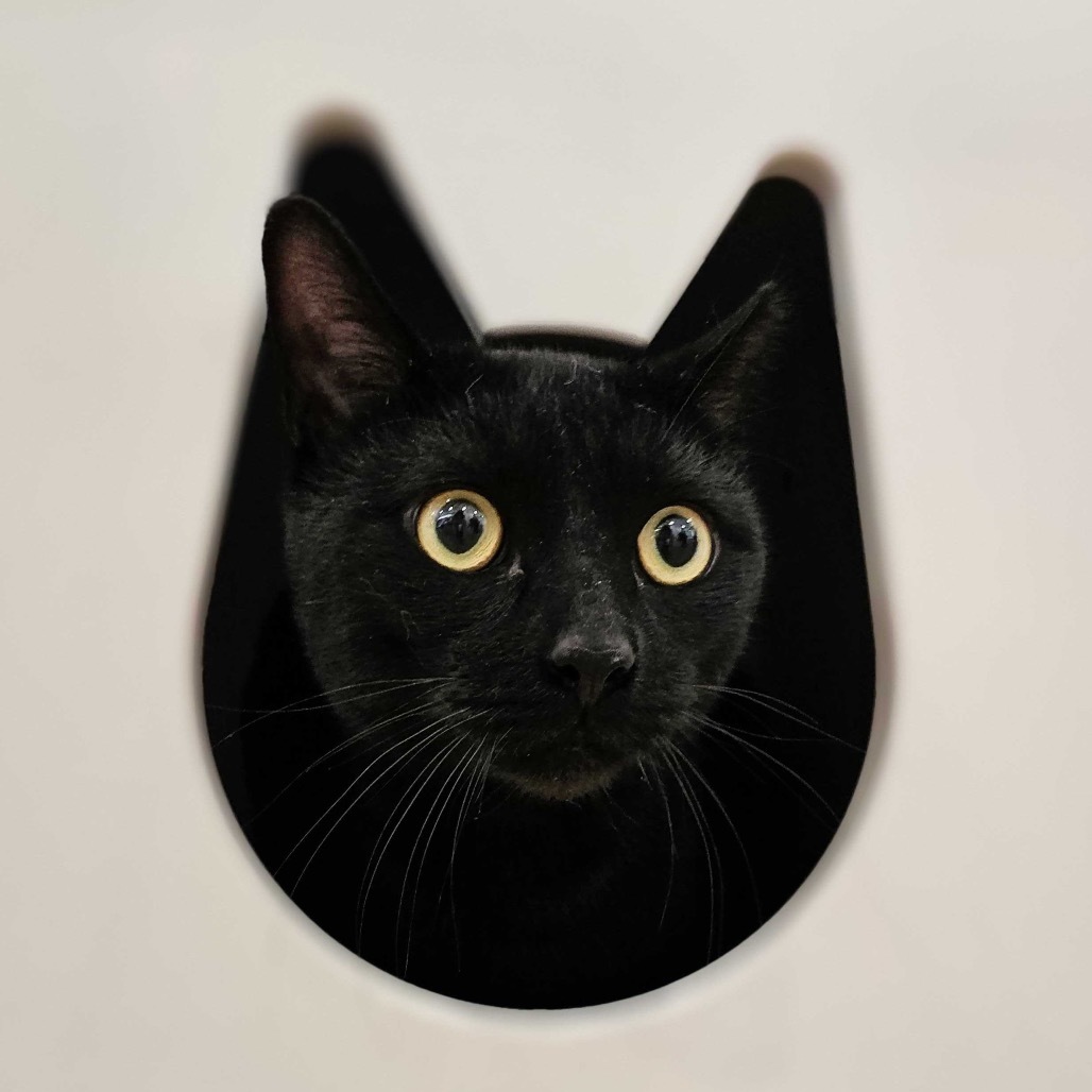 Toothless