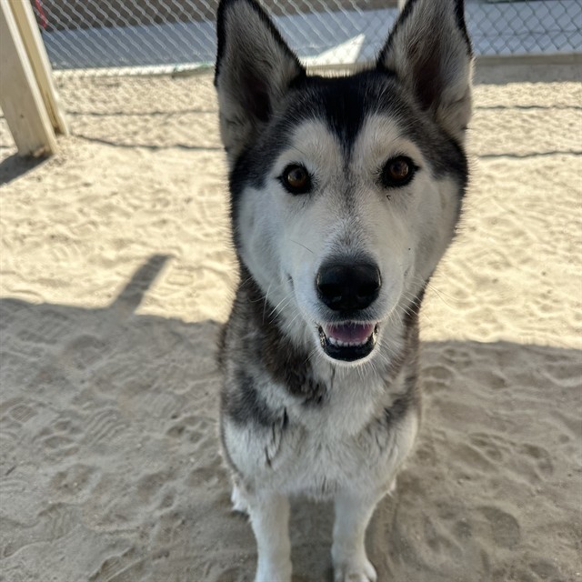 LUNA