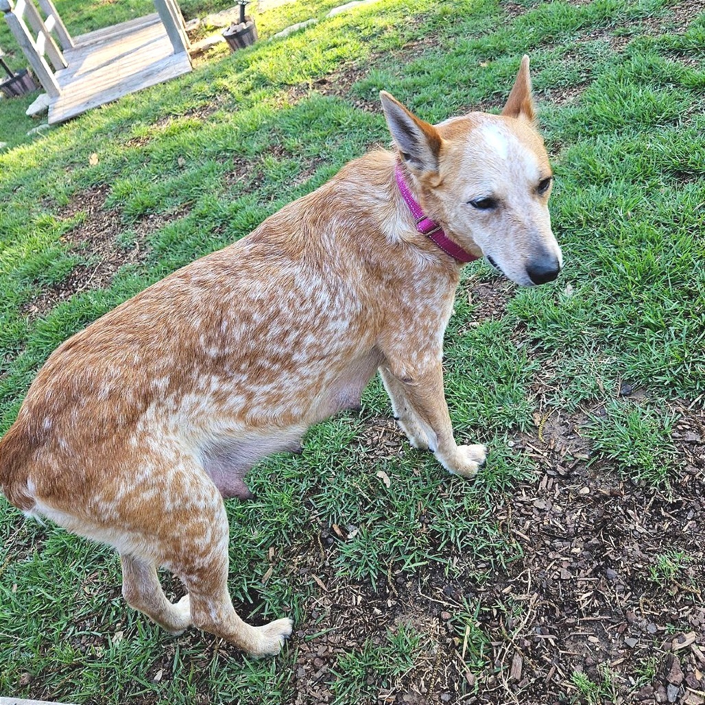 Sophia Photo