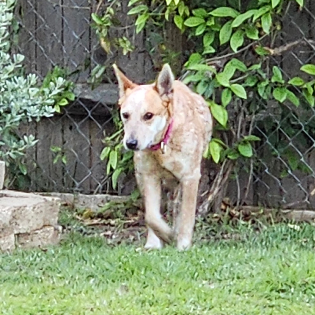 Sophia Photo