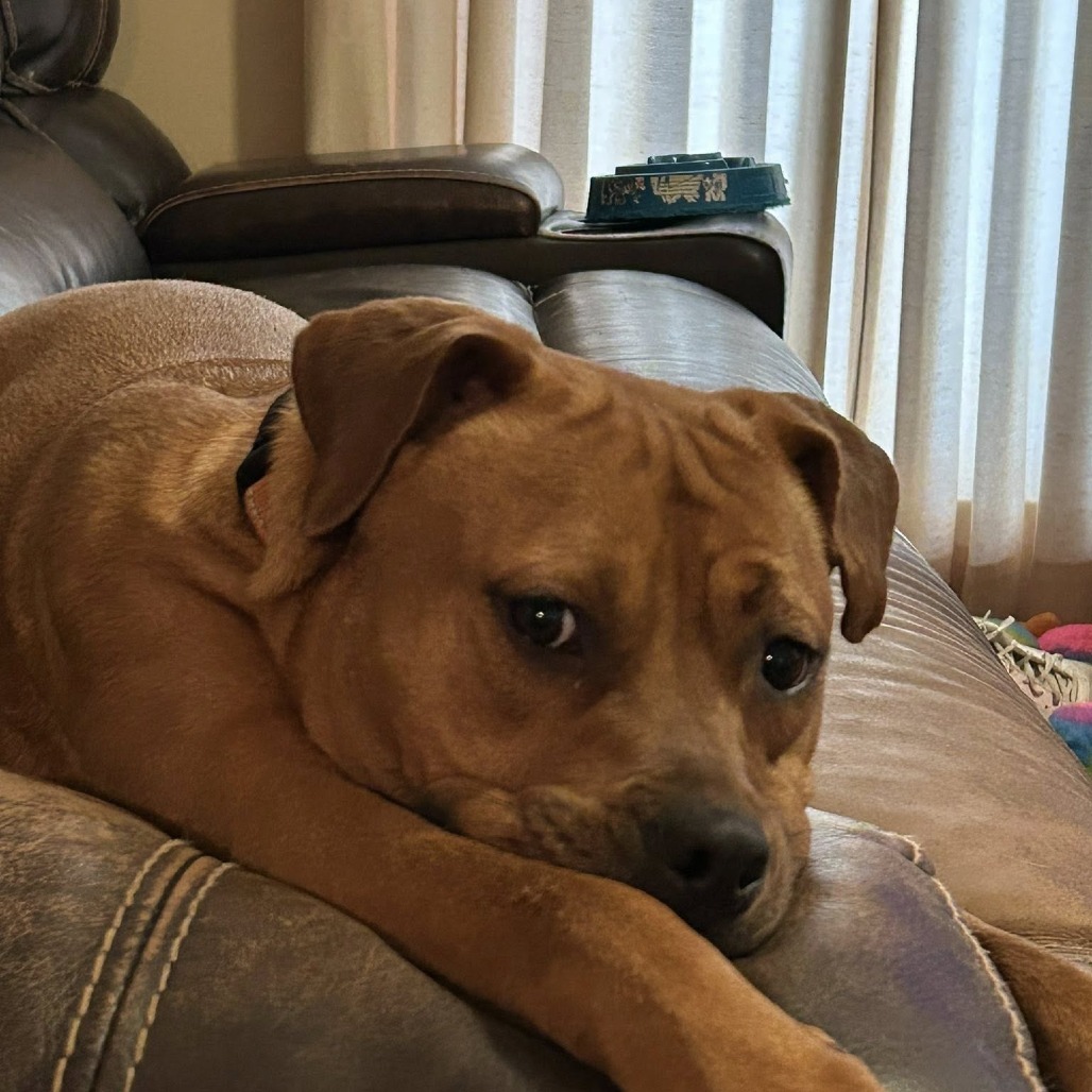 Abby
