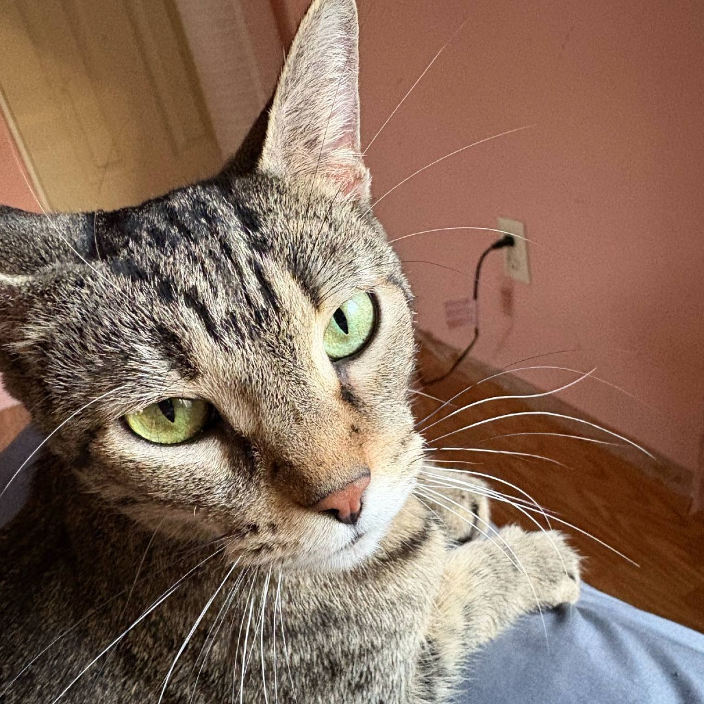 Kiki