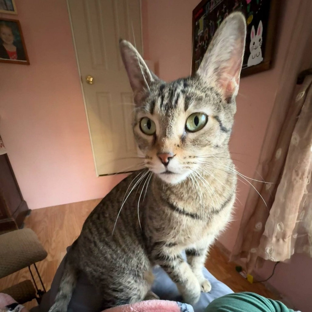 Kiki