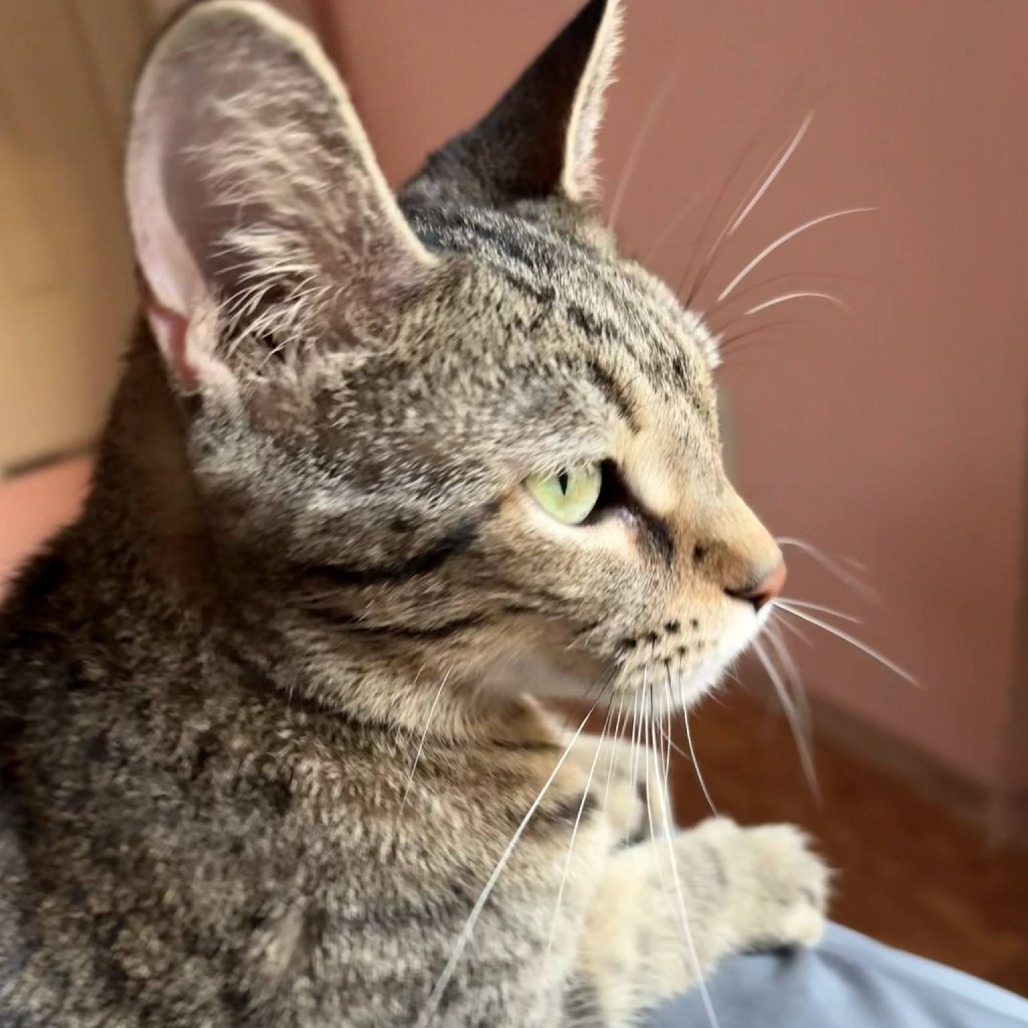 Kiki