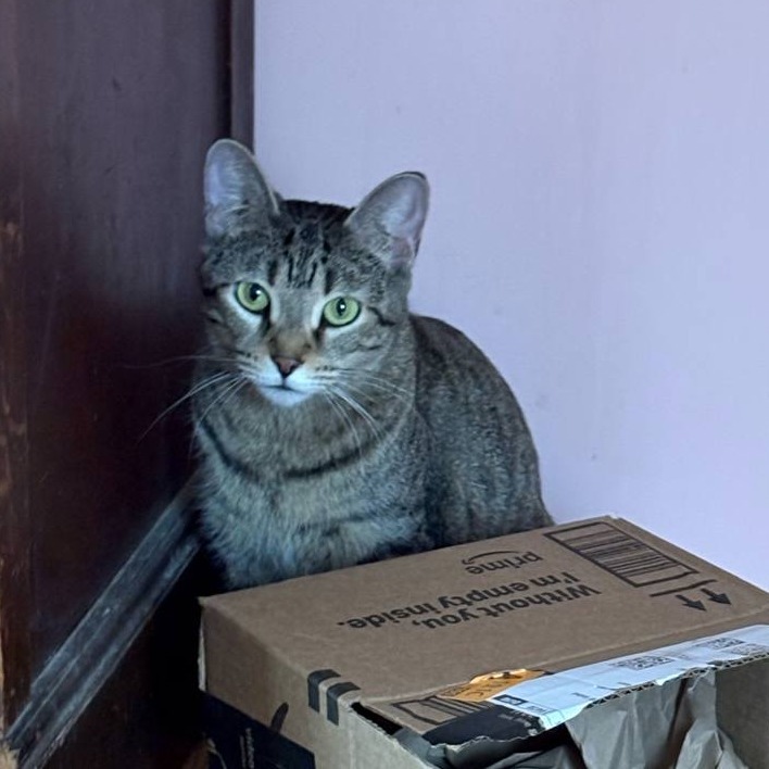 Kiki