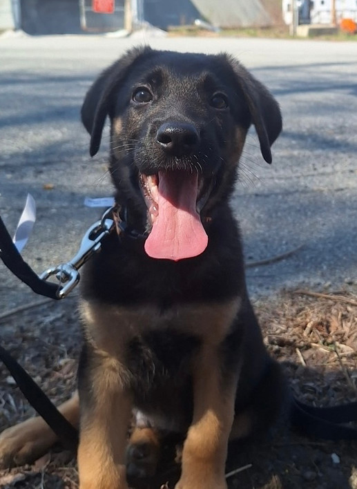Chance the Charming